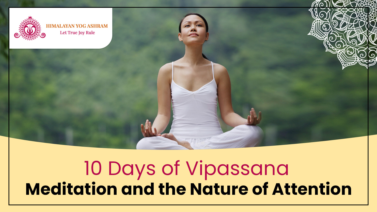 10 Days of Vipassana: Meditation and the Nature of Attention