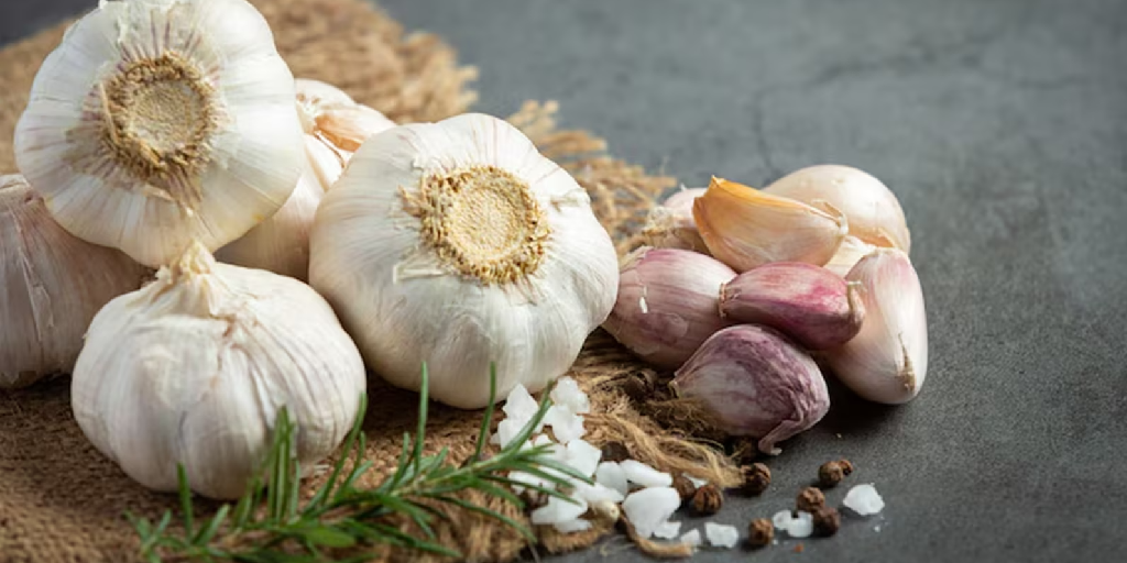 8 Best Food To Boost the Immune System