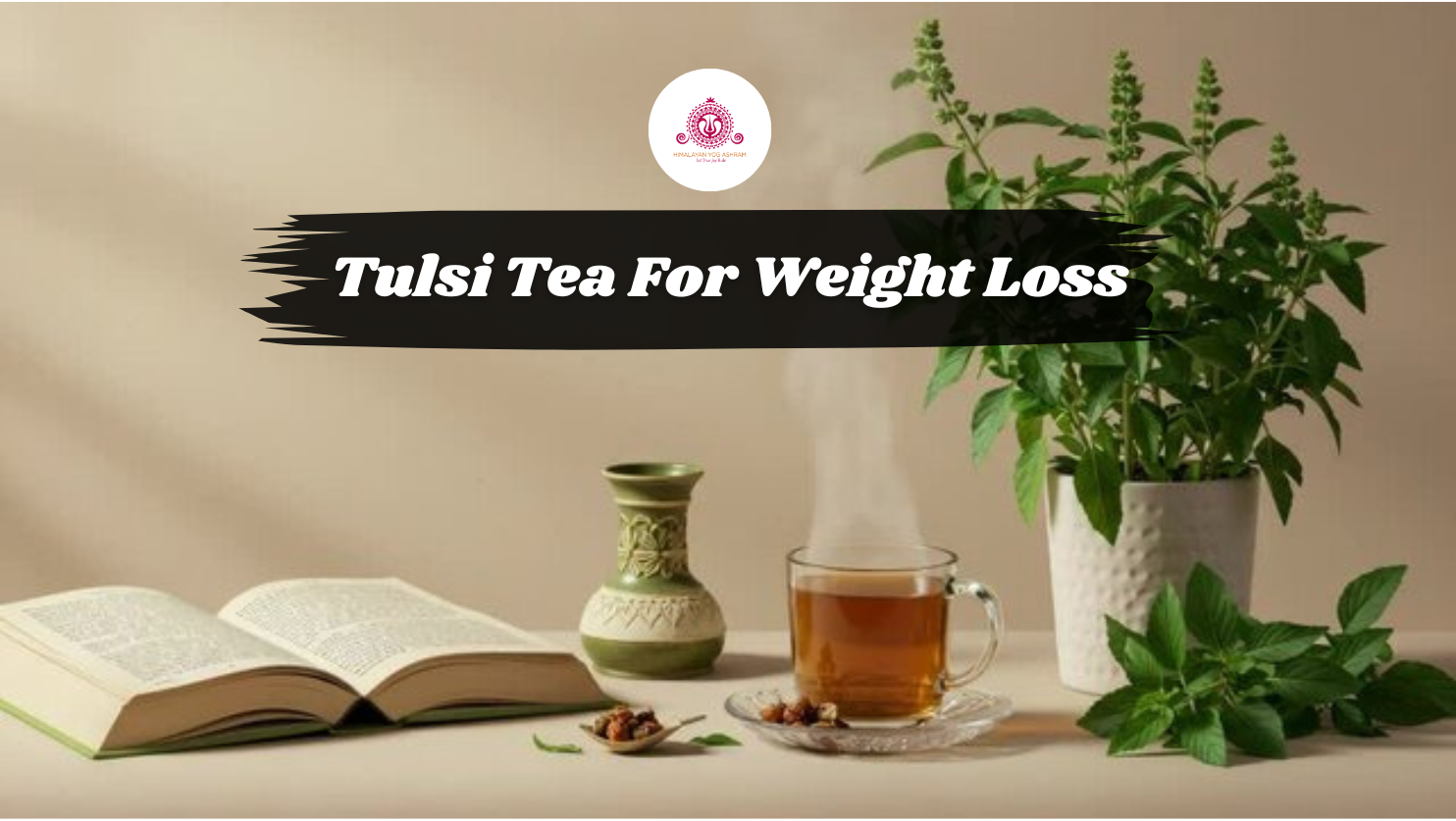 Tulsi Tea For Weight Loss And Other Benefits