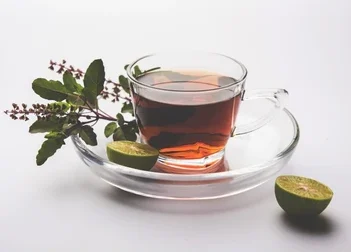 Tulsi Tea For Weight Loss And Other Benefits
