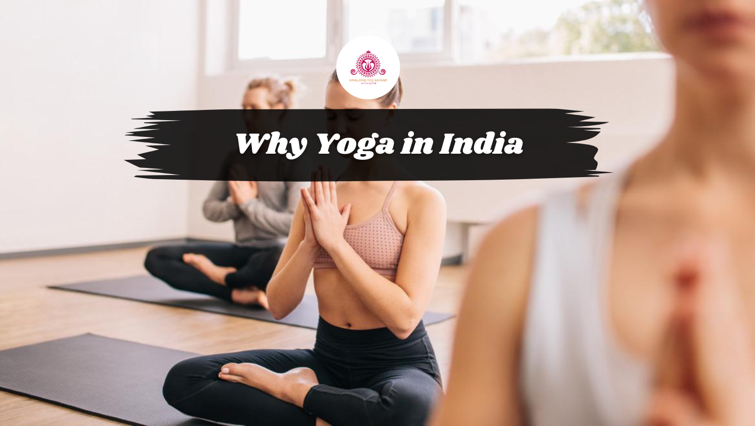 Why Yoga in India is the Best Way to Deepen Your Practice