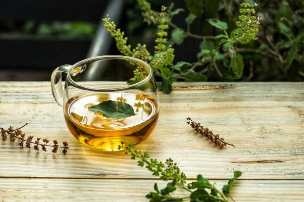 Tulsi Tea For Weight Loss And Other Benefits