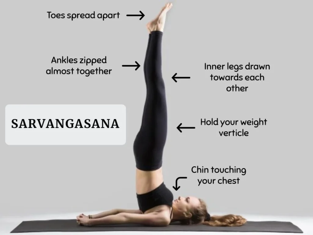 Why Is Shoulder Stand Called the “Queen of All Yoga Postures”?