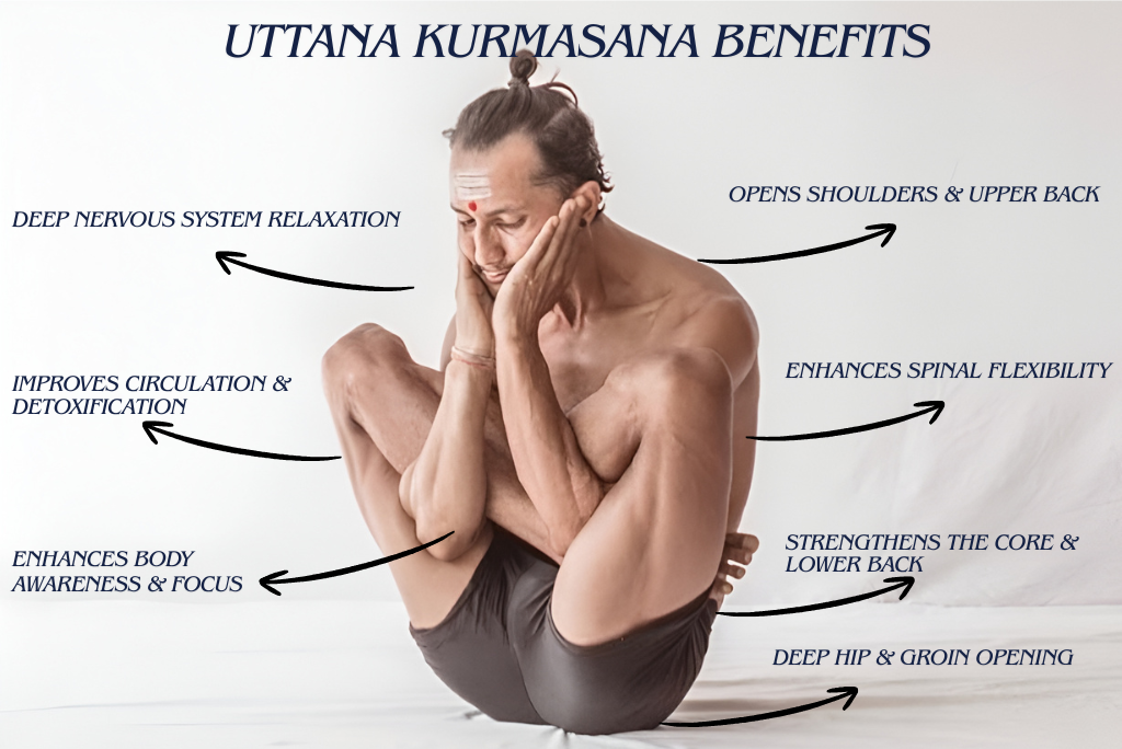 Uttana Kurmasana ( Tortoise Pose )