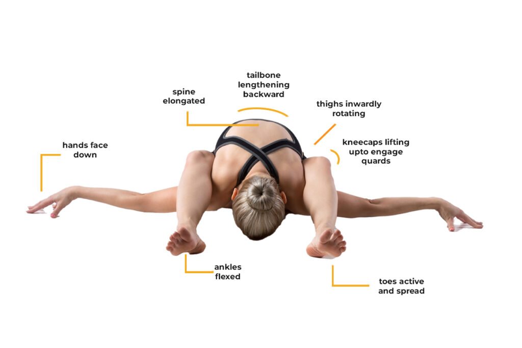 Uttana Kurmasana ( Tortoise Pose )