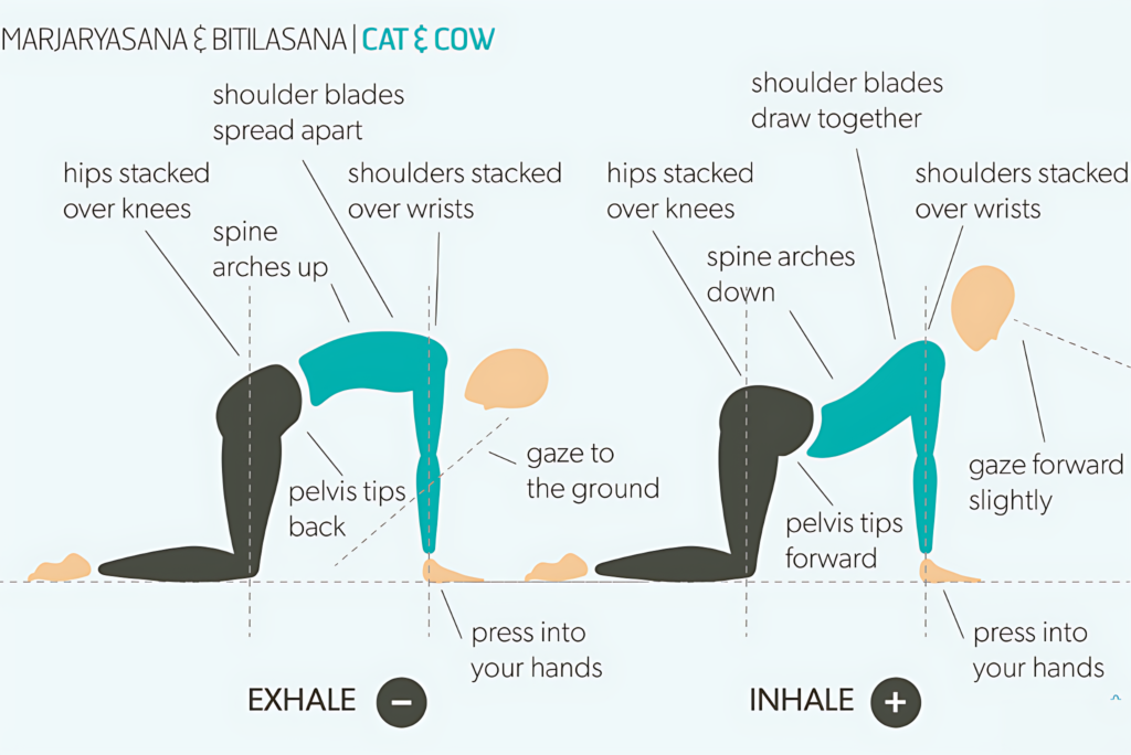 10 Effective Yoga Poses for PCOD