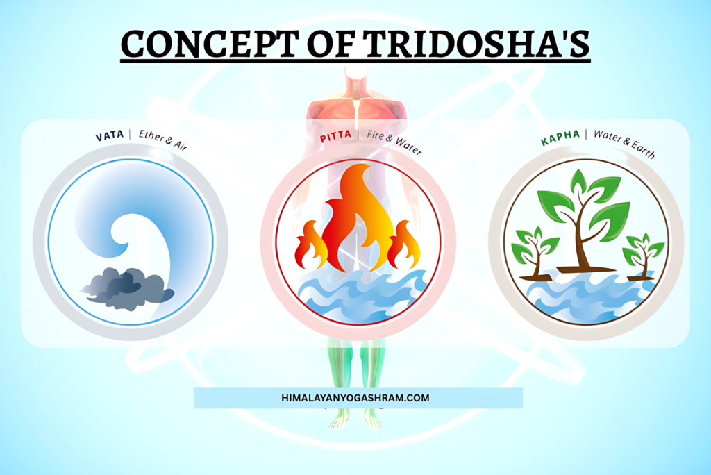 Tridosha in Ayurveda Types of 3 Dosha Vata, Pitta, and Kapha