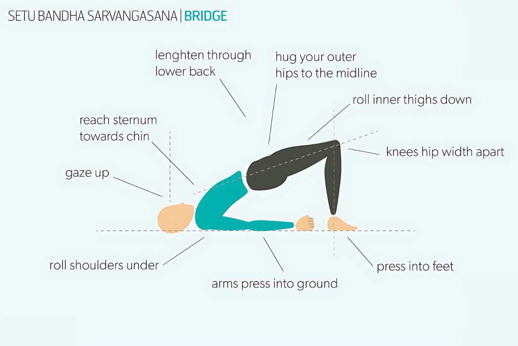 Setu Bandha Sarvangasana (bridge pose): a guide and 7 Benefits