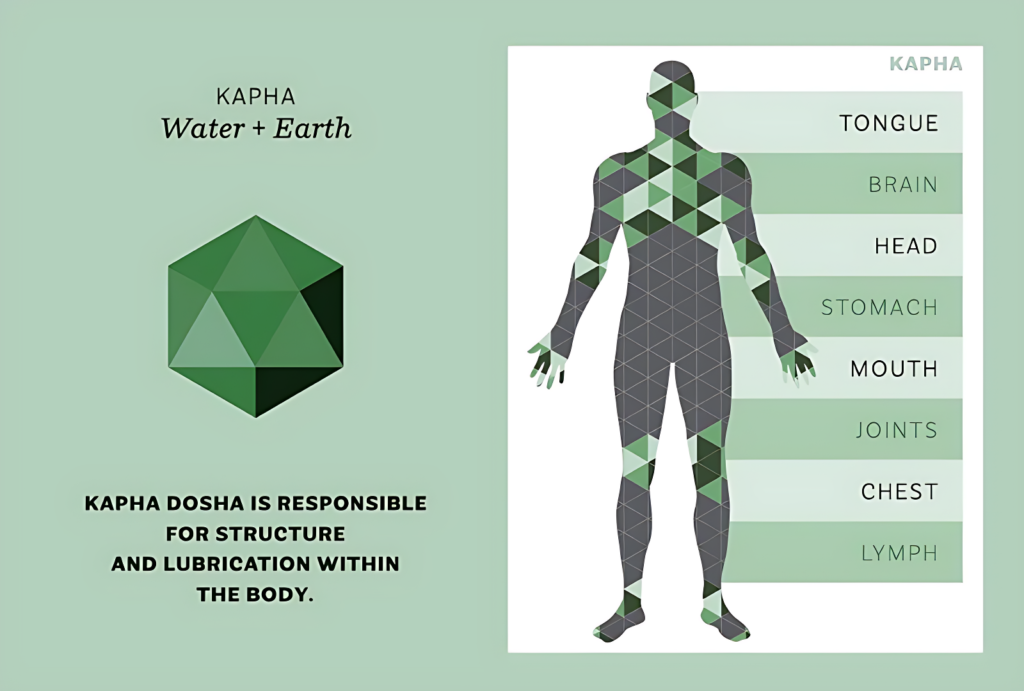 Tridosha in Ayurveda Types of 3 Dosha Vata, Pitta, and Kapha