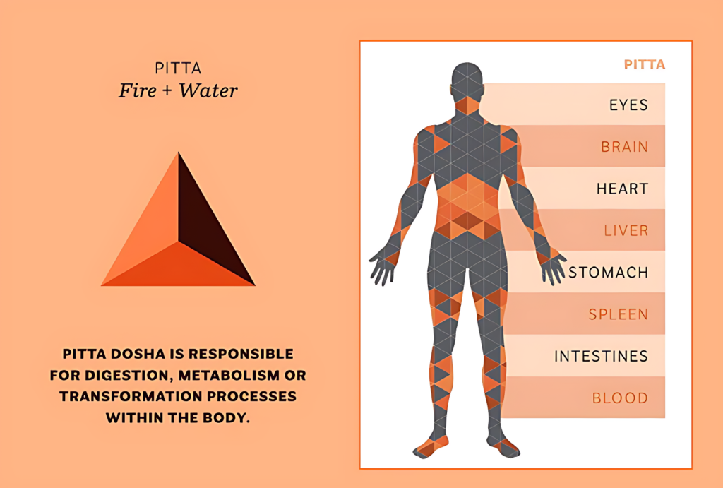 Tridosha in Ayurveda Types of 3 Dosha Vata, Pitta, and Kapha