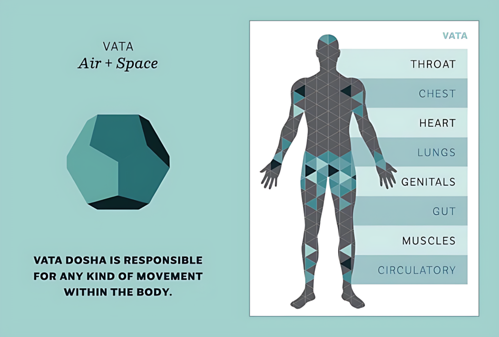 Tridosha in Ayurveda Types of 3 Dosha Vata, Pitta, and Kapha