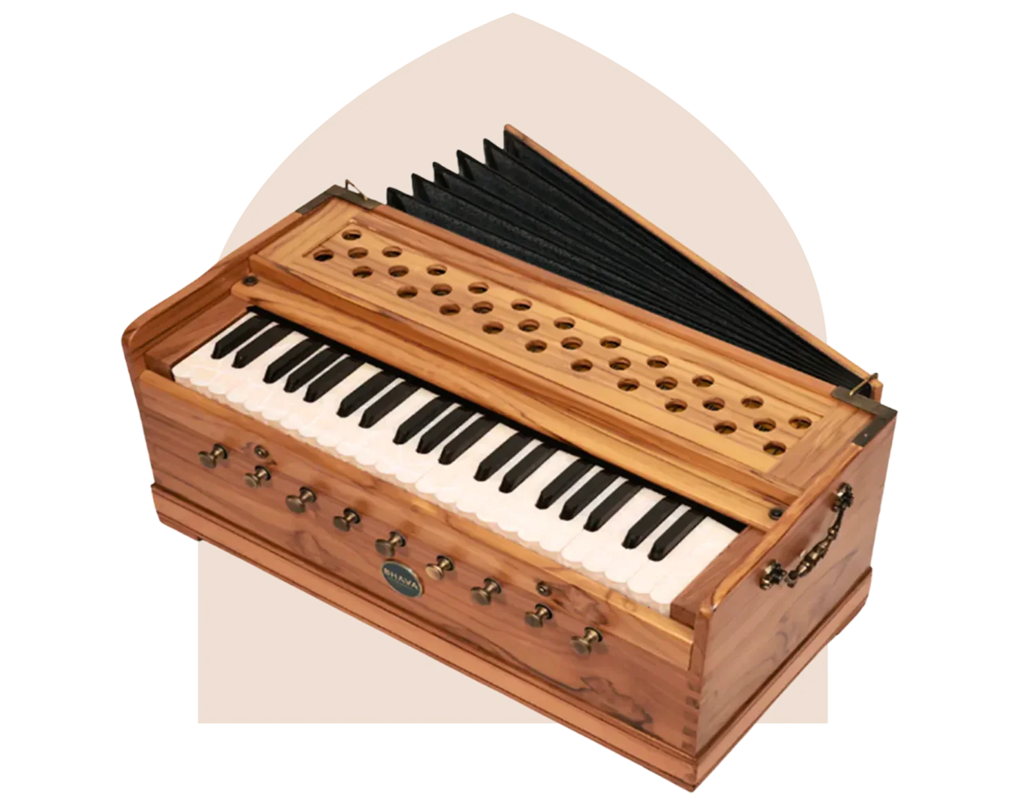 Harmonium Kirtan Class